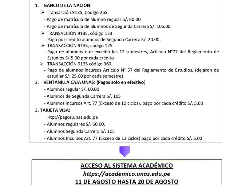 UNAS 2025-II Undergraduate Tuition Flowchart