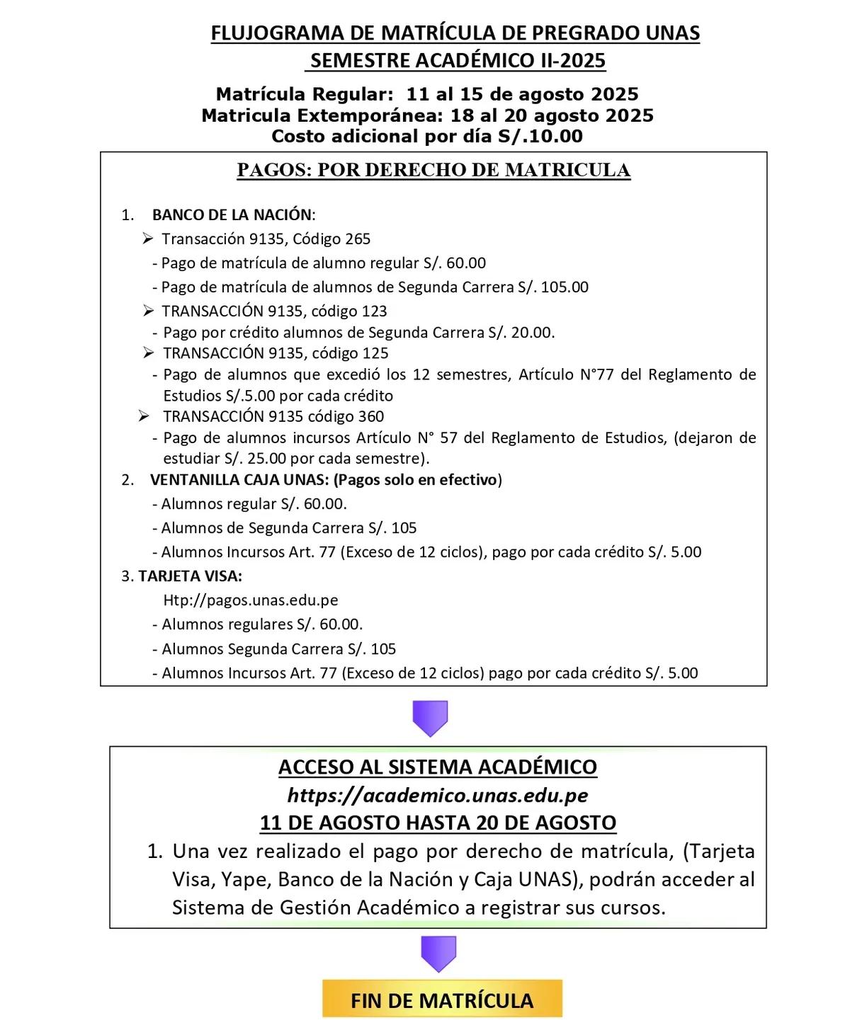 UNAS 2025-II Undergraduate Tuition Flowchart