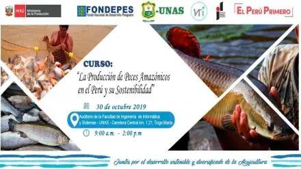 A PRODUÇÃO DE PEIXES AMAZÔNICOS NO PERU E SUA SUSTENTABILIDADE