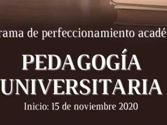 Pedagogía Universitaria